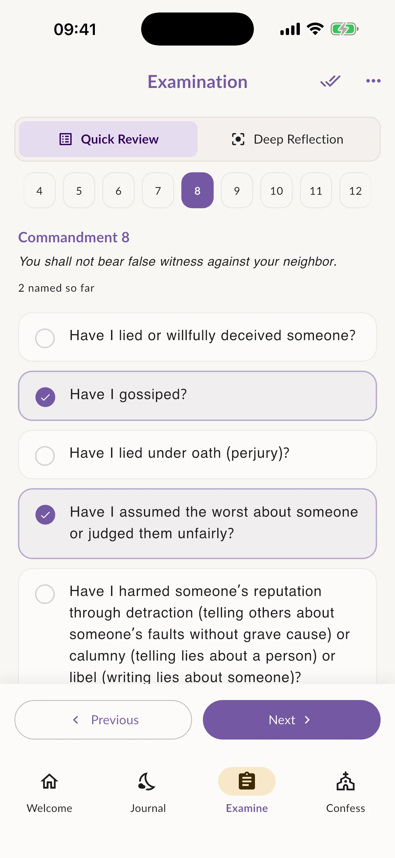 Metanoia examination of conscience with Quick Review questions and selected notes